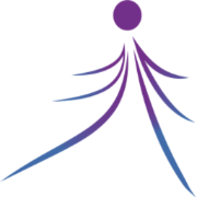 Iandroots logo